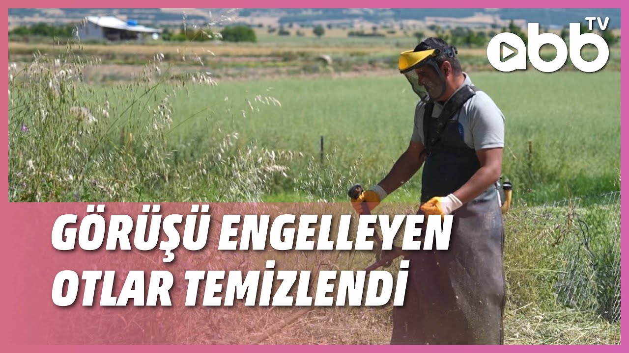 GÖRÜŞÜ ENGELLEYEN OTLAR TEMİZLENDİ