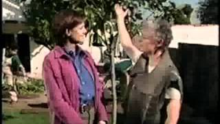 Small Garden Space Design for HGTV (Part 2)