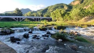 找个好位置，观看白鹭飞舞,旅游,旅拍体验