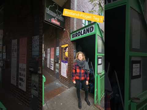 Große Wartung eines Flügels & Garnierungen der Klaviatur erneuern. Birdland-Flügel,  Jazzclub/Teil 1