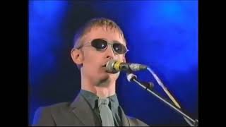 The Divine Comedy - Becoming More Like Alfie - T In The Park 1996