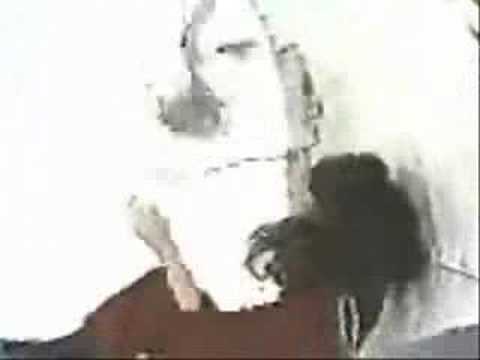 Maček v breztežnosti