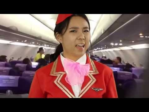 LINGsCARS FAQ - 62 I can´t use the Internet