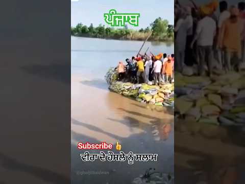 Rupnagar Satluj River | Chamkaur Sahib | Morinda | Ropar head | Ropar dam | ropar flood open #shorts