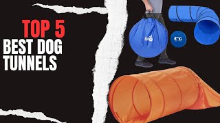 Top 5 Best Dog Tunnels in 2023 _  Tunnels for Dogs