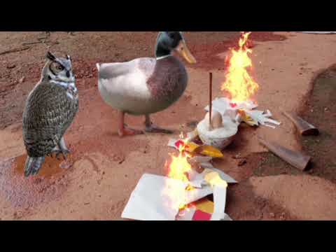 hu plig qaug zog hu plig tom kev fe vam muas yaj channeil /6/7/2022/@