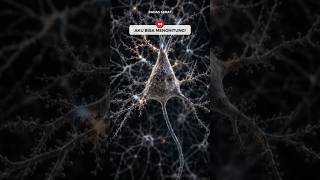 Download lagu POV Neuron: I’m Just One Cell, But I Can Compute 🧠 mp3