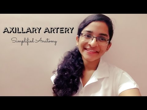 AXILLARY ARTERY | ANATOMY | SIMPLIFIED ✔