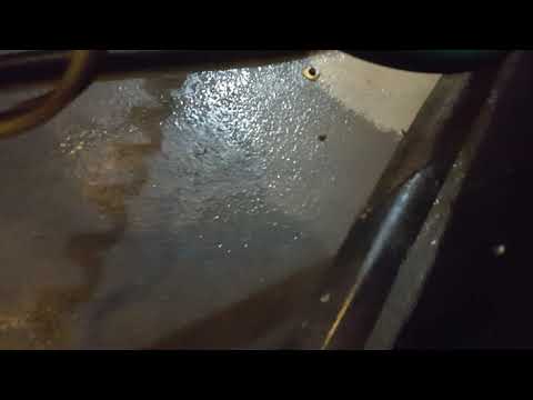 New Business Owner Find Cockroaches in Manasquan, NJ