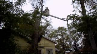 preview picture of video 'Aerial Crane Hazardous Tree Removal, Bay St. Louis, Mississippi'