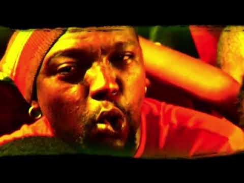 Zola - Stars (Official Music video)