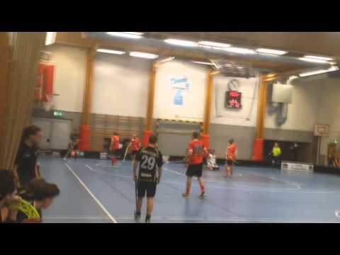 Best floorball goal ever scored