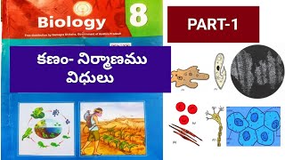 8th Class AP new biology textbook// Chapter-1,Cell_Structure and Functions// part_1,Telugu medium