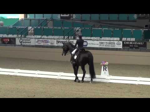 Anna Buffini Sunday Boy 584 YRFS