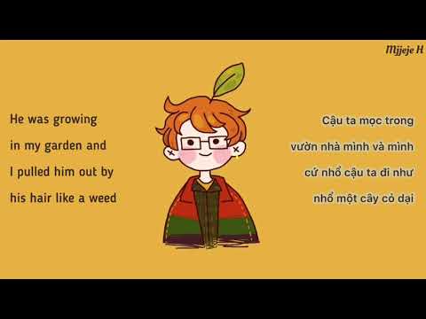 [Vietsub + Lyrics] Lemon Boy - Cavetown