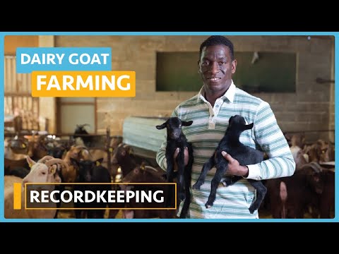 Dairy Goat Farming Lesson 1 Course Outline
