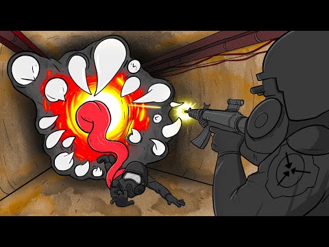 What Really Happened to Site 13? (SCP Animation)