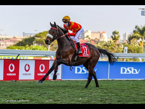 L'ORMARINS QUEEN'S PLATE: BELGARION