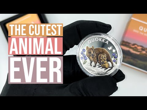 Unboxing the Cutest Animal 2022 Quokka 1oz Silver Proof Coin