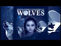 Selena Gomez, Marshmello - Wolves (karaoke with backing vocals)