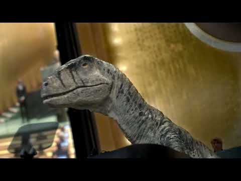 Don’t Choose Extinction - UNDP PSA