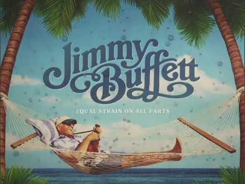 Jimmy Buffett Bubbles Up Lyrics AND BUBBLES! 🤪
