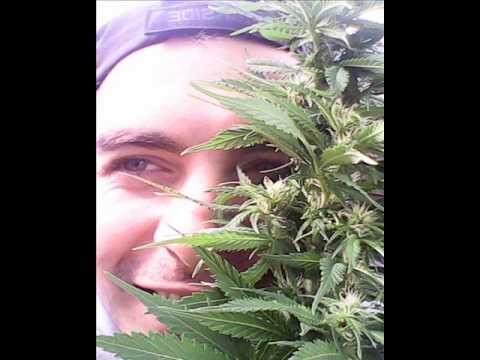 metrfil feat. vice - nie tak