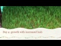 Hydroponic Fodder At OG Dairy Parlam Amravati