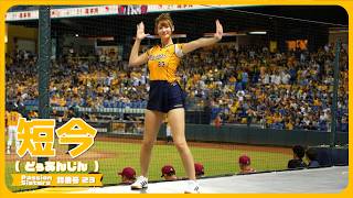 詹子賢応援!!📣 短今（Sammie）Passion Sisters 中信兄弟啦啦隊  cheerleader 치어리더 臺中洲際棒球場 2024/8/23【台湾チアTV】