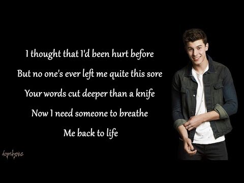 Stitches - Shawn Mendes (Lyrics)
