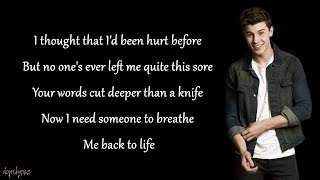 Stitches - Shawn Mendes (Lyrics)