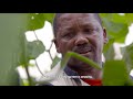Tshwaraganang Hydroponics Cooperative