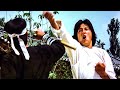 Jackie Chan Uses The Dragon Fist Dragon Fist Full Ending 4K