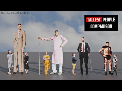 TALLEST People HEIGHT Comparison| 3d Animation comparison