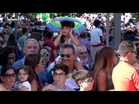 AgitÁgueda 2016 - Carnaval Fora d´Horas + Color Day