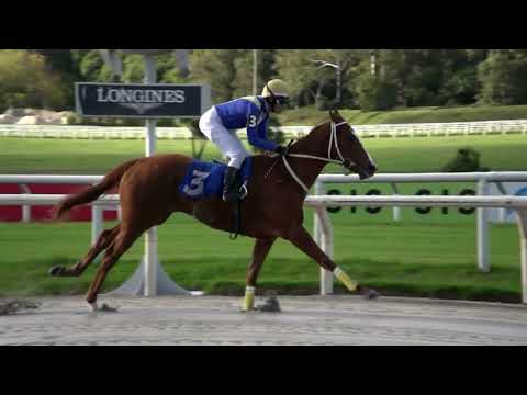 230526 c01 - ALMA LUJAN - HIPODROMO DE MAROÑAS