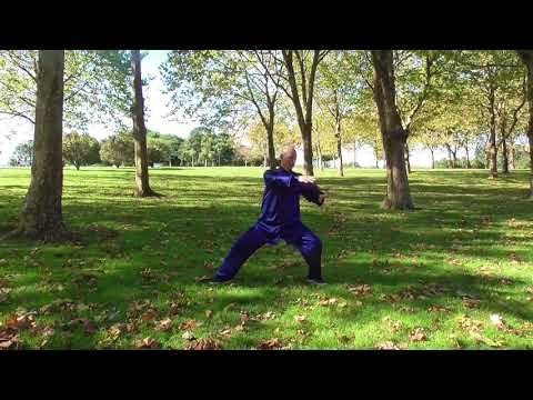 Tai Chi Energising the Joints Routine