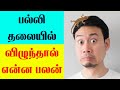 பல்லி தலையில் விழுந்தால் என்ன பலன் Palli