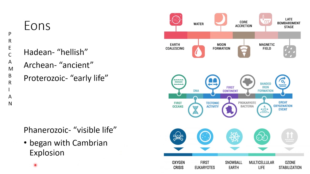 Unit 6 Earth's History #5 Geologic Time