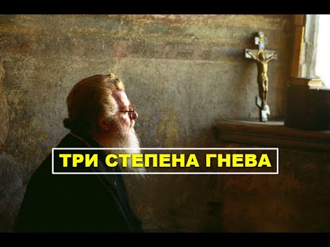 GNEV, SRDŽBA, NEPRAŠTANJE - Vesna Biorac