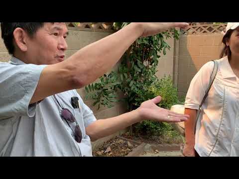 Hanging out with the king of dragon fruits! @graftingdragonfruit