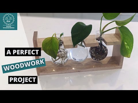 Scrap Wood Propagation Stations!