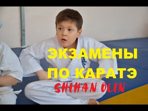 Каратэ киокушинкай - экзамены /Martial Arts