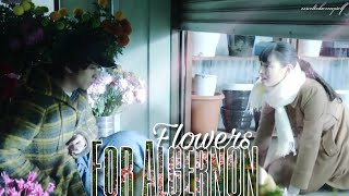 Ｓａｋｕｔｏ－ Let Me Free ᴴᴰ