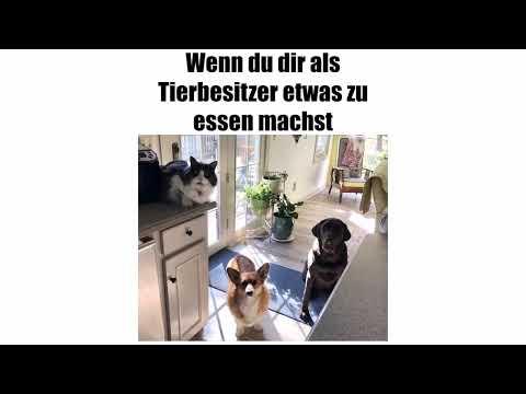 Willys Humor - Folge 0613