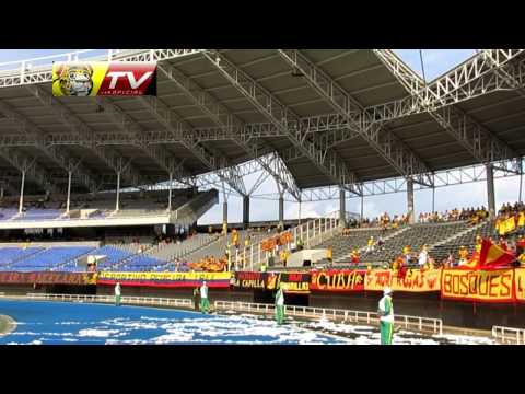 "Hinchada del deportivo Pereira vs Valledupar 2015" Barra: Lobo Sur • Club: Pereira