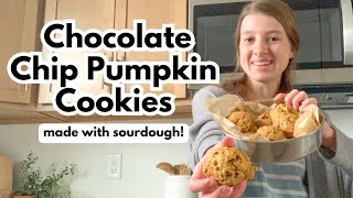 Mini Sourdough Chocolate Chip Pumpkin Cookies | USING ONLY A FORK!
