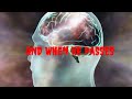 HAWKWIND - Jack Of Shadows - Lyrics video