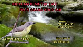 Download lagu SUARA BURUNG REMETUK LAUT  PLUS GEMERCIK AIR SANGAT COCOK UNTUK MASTERAN mp3