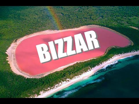 Die 10 bizzarsten Naturwunder 4K